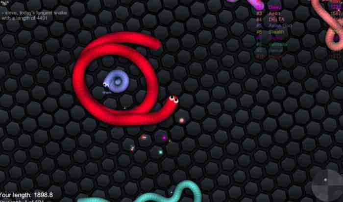 Starting to Play Slither.io