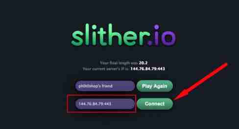 slither-io-private-servers-to-play